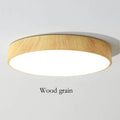 Modern LED Ceiling Light Living Room Bedroom Light Corridor Balcony LED Ceiling Lamp Kitchen Ceiling Lights Surface Mount