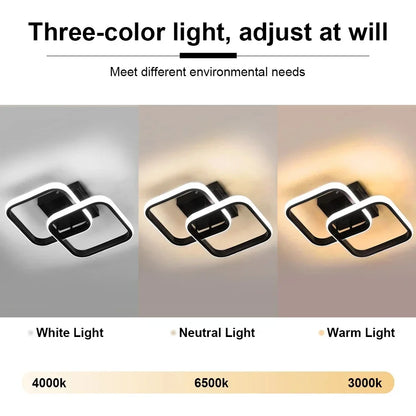 LED Ceiling Lamp Corridor Balcony Black White Indoor Chandelier Ceiling Light for Bedroom Living Room Aisle Decoration 110-220V